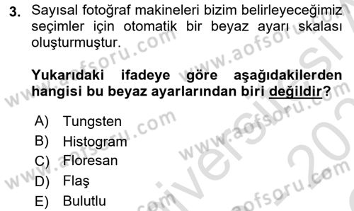 Görsel Estetik Dersi 2022 - 2023 Yılı Yaz Okulu Sınav Soruları 3. Soru