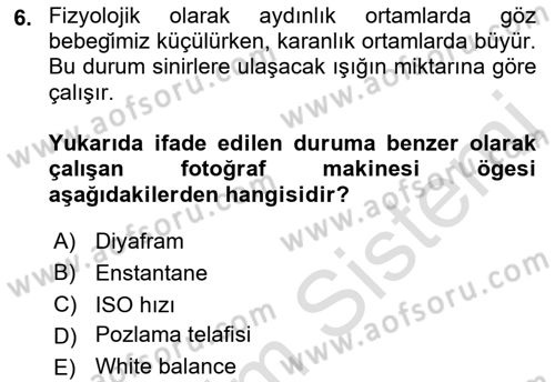 Görsel Estetik Dersi 2022 - 2023 Yılı Yaz Okulu Sınav Soruları 6. Soru