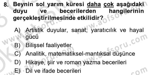 Görsel Estetik Dersi 2022 - 2023 Yılı Yaz Okulu Sınav Soruları 8. Soru