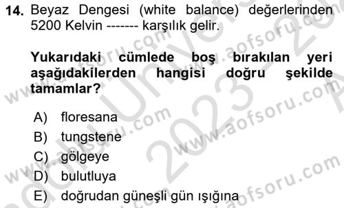 Görsel Estetik Dersi 2023 - 2024 Yılı (Vize) Ara Sınav Soruları 14. Soru