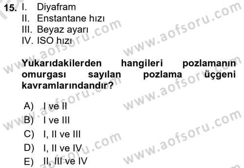 Görsel Estetik Dersi 2023 - 2024 Yılı (Vize) Ara Sınav Soruları 15. Soru