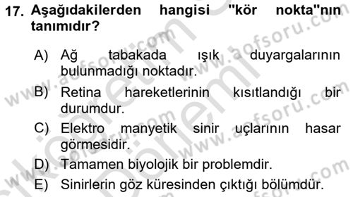 Görsel Estetik Dersi 2023 - 2024 Yılı (Vize) Ara Sınav Soruları 17. Soru