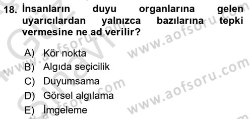 Görsel Estetik Dersi 2023 - 2024 Yılı (Vize) Ara Sınav Soruları 18. Soru