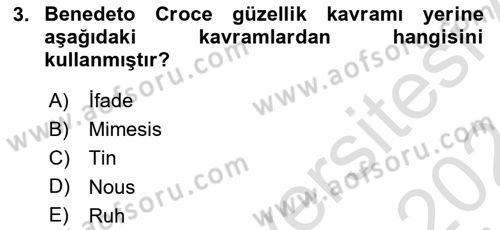 Görsel Estetik Dersi 2023 - 2024 Yılı (Vize) Ara Sınav Soruları 3. Soru