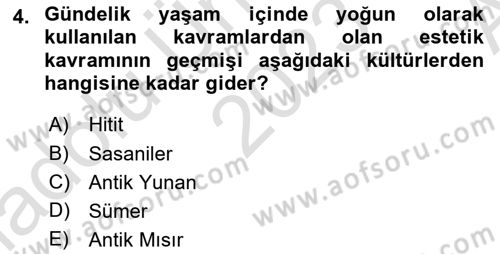 Görsel Estetik Dersi 2023 - 2024 Yılı (Vize) Ara Sınav Soruları 4. Soru