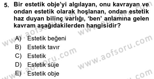 Görsel Estetik Dersi 2023 - 2024 Yılı (Vize) Ara Sınav Soruları 5. Soru