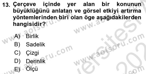 Görsel Estetik Dersi 2023 - 2024 Yılı (Final) Dönem Sonu Sınav Soruları 13. Soru