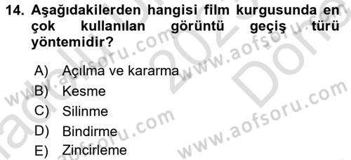 Görsel Estetik Dersi 2023 - 2024 Yılı (Final) Dönem Sonu Sınav Soruları 14. Soru