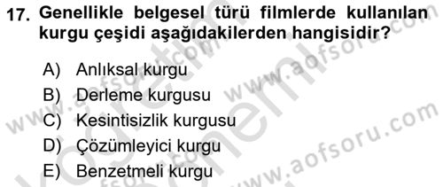 Görsel Estetik Dersi 2023 - 2024 Yılı (Final) Dönem Sonu Sınav Soruları 17. Soru