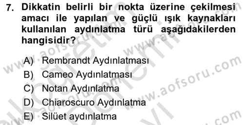 Görsel Estetik Dersi 2023 - 2024 Yılı (Final) Dönem Sonu Sınav Soruları 7. Soru