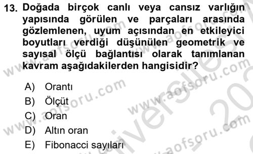 Görsel Estetik Dersi 2023 - 2024 Yılı Yaz Okulu Sınav Soruları 13. Soru