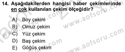 Görsel Estetik Dersi 2023 - 2024 Yılı Yaz Okulu Sınav Soruları 14. Soru