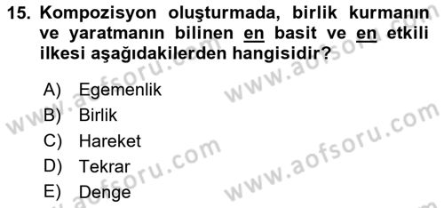 Görsel Estetik Dersi 2023 - 2024 Yılı Yaz Okulu Sınavı 15. Soru