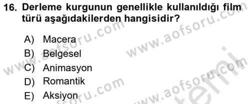 Görsel Estetik Dersi 2023 - 2024 Yılı Yaz Okulu Sınavı 16. Soru