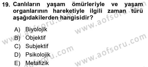 Görsel Estetik Dersi 2023 - 2024 Yılı Yaz Okulu Sınav Soruları 19. Soru