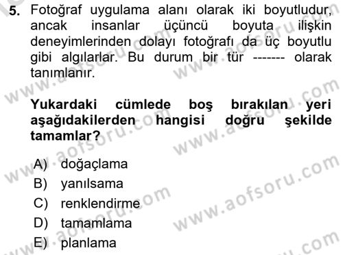 Görsel Estetik Dersi 2023 - 2024 Yılı Yaz Okulu Sınav Soruları 5. Soru