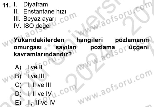 Görsel Estetik Dersi 2024 - 2025 Yılı (Vize) Ara Sınav Soruları 11. Soru