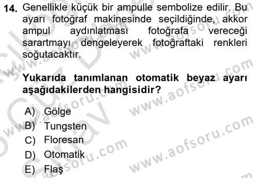 Görsel Estetik Dersi 2024 - 2025 Yılı (Vize) Ara Sınav Soruları 14. Soru