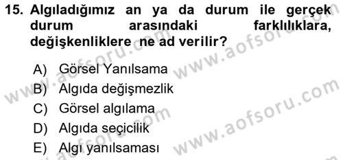 Görsel Estetik Dersi 2024 - 2025 Yılı (Vize) Ara Sınav Soruları 15. Soru