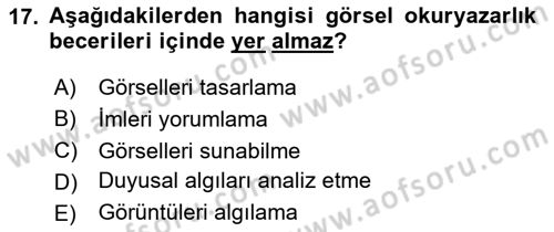 Görsel Estetik Dersi 2024 - 2025 Yılı (Vize) Ara Sınav Soruları 17. Soru