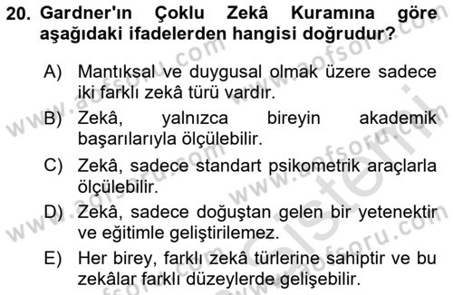 Görsel Estetik Dersi 2024 - 2025 Yılı (Vize) Ara Sınav Soruları 20. Soru