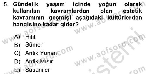 Görsel Estetik Dersi 2024 - 2025 Yılı (Vize) Ara Sınav Soruları 5. Soru
