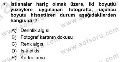 Görsel Estetik Dersi 2024 - 2025 Yılı (Vize) Ara Sınav Soruları 7. Soru