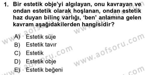 Görsel Estetik Dersi 2024 - 2025 Yılı (Final) Dönem Sonu Sınav Soruları 1. Soru