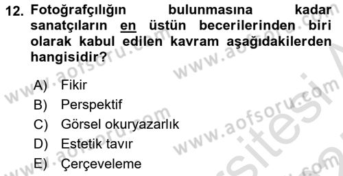 Görsel Estetik Dersi 2024 - 2025 Yılı (Final) Dönem Sonu Sınav Soruları 12. Soru
