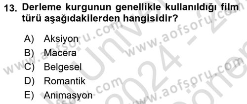 Görsel Estetik Dersi 2024 - 2025 Yılı (Final) Dönem Sonu Sınav Soruları 13. Soru