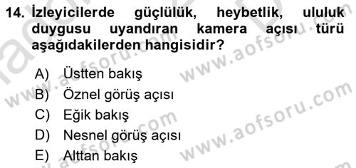 Görsel Estetik Dersi 2024 - 2025 Yılı (Final) Dönem Sonu Sınav Soruları 14. Soru