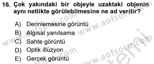 Görsel Estetik Dersi 2024 - 2025 Yılı (Final) Dönem Sonu Sınav Soruları 16. Soru