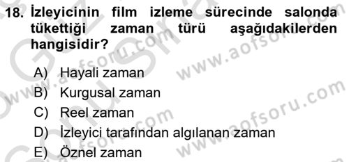 Görsel Estetik Dersi 2024 - 2025 Yılı (Final) Dönem Sonu Sınav Soruları 18. Soru