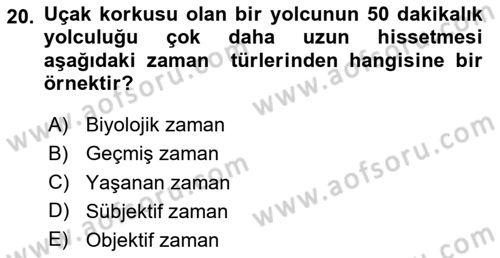 Görsel Estetik Dersi 2024 - 2025 Yılı (Final) Dönem Sonu Sınav Soruları 20. Soru