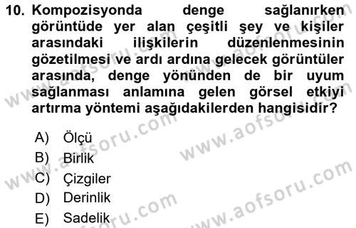 Görsel Estetik Dersi 2024 - 2025 Yılı Yaz Okulu Sınav Soruları 10. Soru