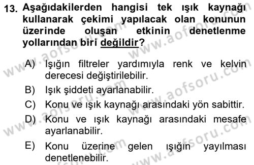 Görsel Estetik Dersi 2024 - 2025 Yılı Yaz Okulu Sınav Soruları 13. Soru