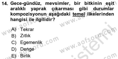 Görsel Estetik Dersi 2024 - 2025 Yılı Yaz Okulu Sınav Soruları 14. Soru