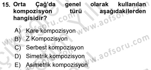 Görsel Estetik Dersi 2024 - 2025 Yılı Yaz Okulu Sınav Soruları 15. Soru