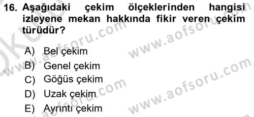 Görsel Estetik Dersi 2024 - 2025 Yılı Yaz Okulu Sınav Soruları 16. Soru