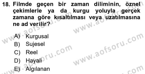Görsel Estetik Dersi 2024 - 2025 Yılı Yaz Okulu Sınav Soruları 18. Soru