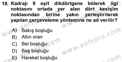 Görsel Estetik Dersi 2024 - 2025 Yılı Yaz Okulu Sınav Soruları 19. Soru