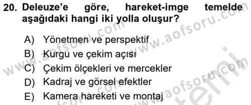Görsel Estetik Dersi 2024 - 2025 Yılı Yaz Okulu Sınav Soruları 20. Soru