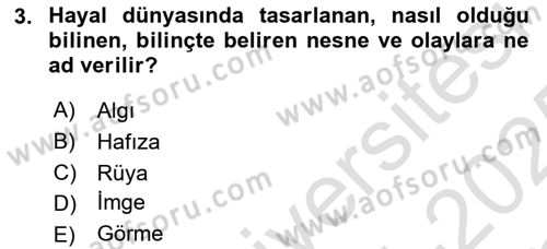 Görsel Estetik Dersi 2024 - 2025 Yılı Yaz Okulu Sınav Soruları 3. Soru