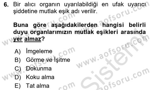 Görsel Estetik Dersi 2024 - 2025 Yılı Yaz Okulu Sınav Soruları 6. Soru