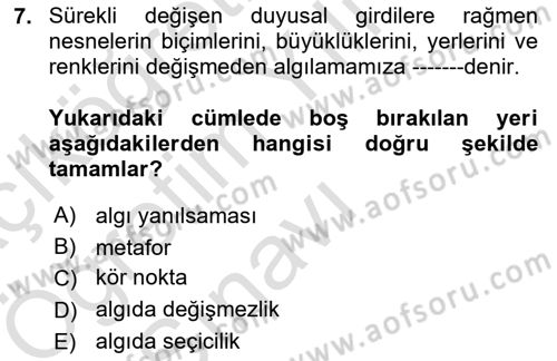 Görsel Estetik Dersi 2024 - 2025 Yılı Yaz Okulu Sınav Soruları 7. Soru