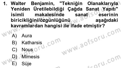 Görsel Estetik Dersi 2025 - 2026 Yılı (Vize) Ara Sınav Soruları 1. Soru