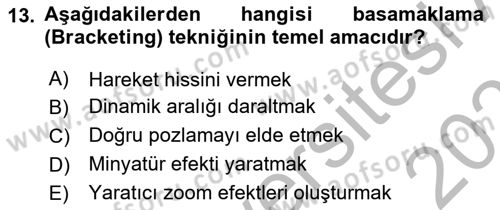 Görsel Estetik Dersi 2025 - 2026 Yılı (Vize) Ara Sınav Soruları 13. Soru