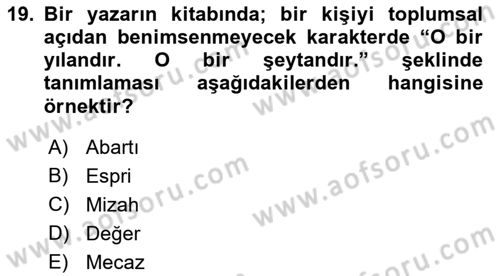 Görsel Estetik Dersi 2025 - 2026 Yılı (Vize) Ara Sınav Soruları 19. Soru