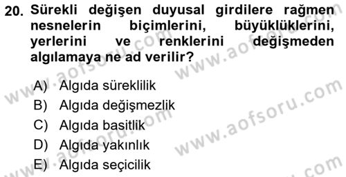 Görsel Estetik Dersi 2025 - 2026 Yılı (Vize) Ara Sınav Soruları 20. Soru