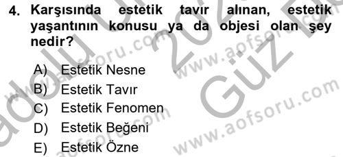 Görsel Estetik Dersi 2025 - 2026 Yılı (Vize) Ara Sınav Soruları 4. Soru